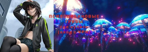 мдпв Гусиноозёрск