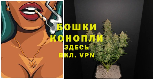 крисы Горнозаводск