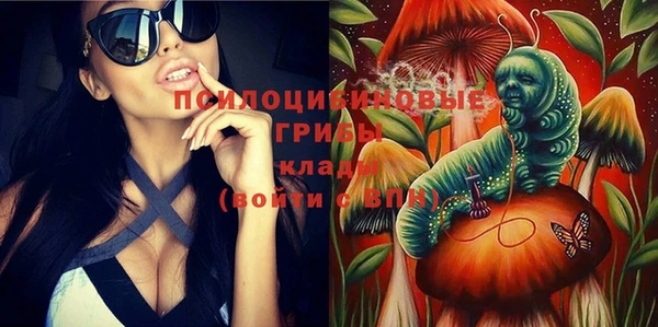 МДПВ Горняк